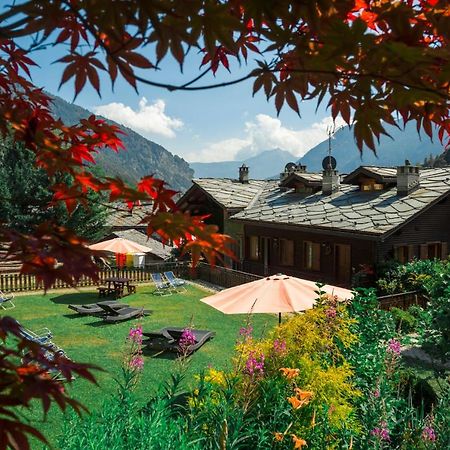 Maison Du Tata อันเต-เซนท์-อันเดร ภายนอก รูปภาพ