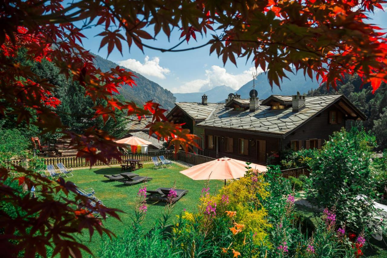 Maison Du Tata อันเต-เซนท์-อันเดร ภายนอก รูปภาพ